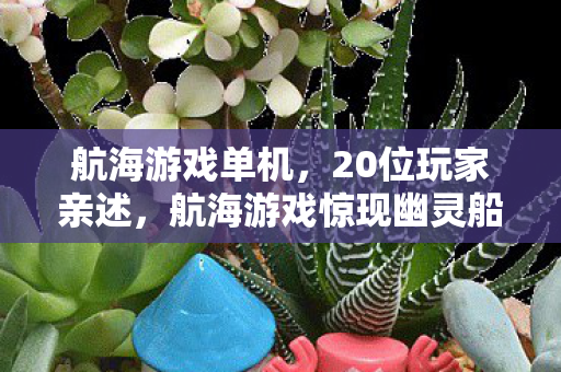 航海游戏单机，20位玩家亲述，航海游戏惊现幽灵船疑云，策划这波操作我绷不住了！