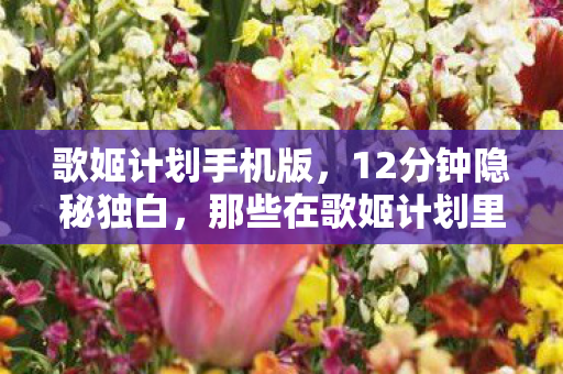 歌姬计划手机版,12分钟隐秘独白,那些在歌姬计划里哽咽着通关的深夜 歌姬计划手机版,12分钟隐秘独白,那些在歌姬计划里哽咽着通关的深夜