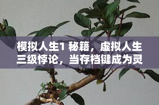 模拟人生1 秘籍，虚拟人生三级悖论，当存档键成为灵魂的绞刑架
