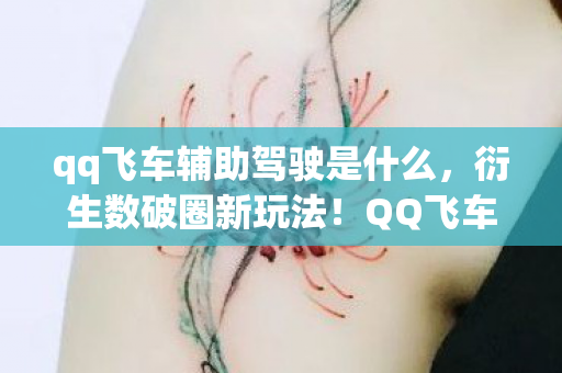 qq飞车辅助驾驶是什么,衍生数破圈新玩法!QQ飞车辅助竟爬进意想不到的潮流宇宙 qq飞车辅助驾驶是什么,衍生数破圈新玩法!QQ飞车辅助竟爬进意想不到的潮流宇宙