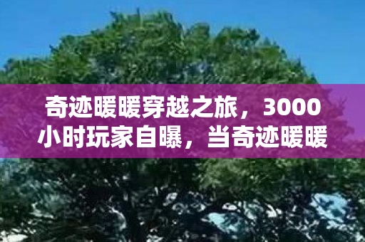 奇迹暖暖穿越之旅，3000小时玩家自曝，当奇迹暖暖飞越午夜成为跨平台执念