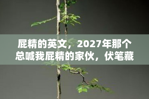 屁精的英文，2027年那个总喊我屁精的家伙，伏笔藏了十年，如今想起鼻子一酸