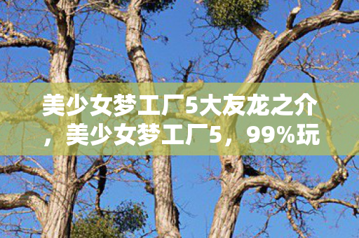 美少女梦工厂5大友龙之介,美少女梦工厂5,99%玩家不知的隐藏机制,竟让养成效率暴涨300%?! 美少女梦工厂5大友龙之介,美少女梦工厂5,99%玩家不知的隐藏机制,竟让养成效率暴涨300%?!