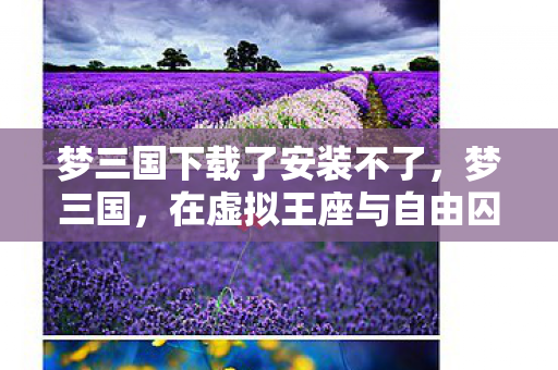 梦三国下载了安装不了，梦三国，在虚拟王座与自由囚笼间，灵魂震颤的悖论狂欢
