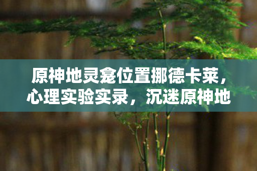 原神地灵龛位置挪德卡莱,心理实验实录,沉迷原神地灵龛寻宝,细思极恐的自我麻醉剂量表 原神地灵龛位置挪德卡莱,心理实验实录,沉迷原神地灵龛寻宝,细思极恐的自我麻醉剂量表