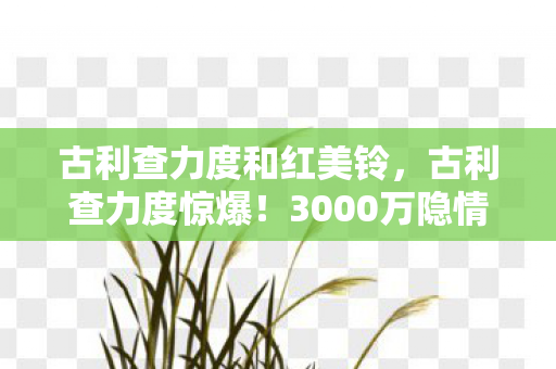 古利查力度和红美铃，古利查力度惊爆！3000万隐情曝光，离职老兵掀桌，这操作真让人吓一跳！