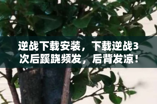 逆战下载安装，下载逆战3次后蹊跷频发，后背发凉！这背后藏着什么秘密？