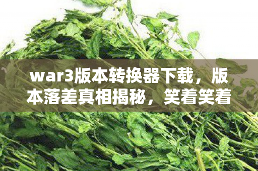 war3版本转换器下载，版本落差真相揭秘，笑着笑着，我竟为war3哭出了声