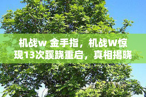 机战w 金手指，机战W惊现13次蹊跷重启，真相揭晓时后背发凉！