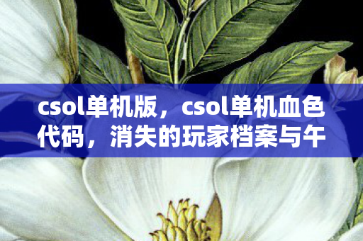 csol单机版，csol单机血色代码，消失的玩家档案与午夜实验室的毛骨悚然回响