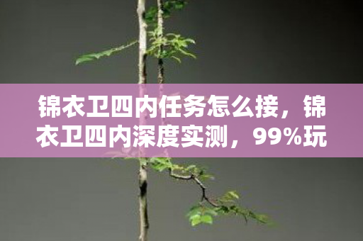 锦衣卫四内任务怎么接,锦衣卫四内深度实测,99%玩家错过的3大隐藏机制,错过再等5年! 锦衣卫四内任务怎么接,锦衣卫四内深度实测,99%玩家错过的3大隐藏机制,错过再等5年!