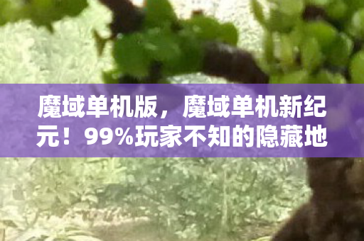魔域单机版，魔域单机新纪元！99%玩家不知的隐藏地图，藏着什么惊天秘密？