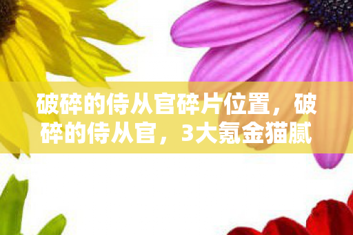 破碎的侍从官碎片位置，破碎的侍从官，3大氪金猫腻+5个伪创新陷阱，这破游戏凭啥让我上头？