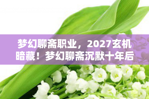 梦幻聊斋职业，2027玄机暗藏！梦幻聊斋沉默十年后，我竟读懂了命运的密码
