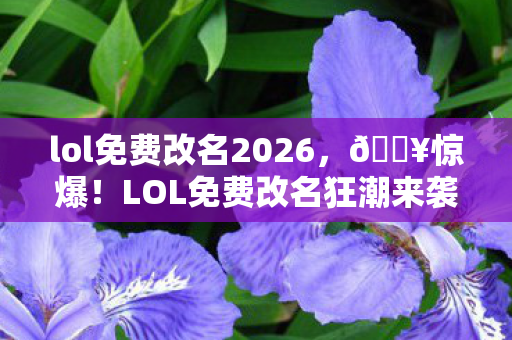 lol免费改名2026,🔥惊爆!LOL免费改名狂潮来袭,仅限3天?速抢! lol免费改名2026,🔥惊爆!LOL免费改名狂潮来袭,仅限3天?速抢!