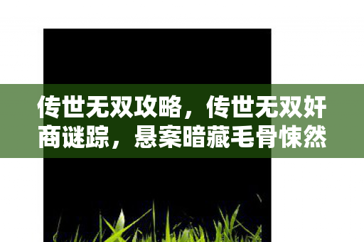 传世无双攻略，传世无双奸商谜踪，悬案暗藏毛骨悚然线索，谁在操控命运齿轮？