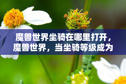 魔兽世界坐骑在哪里打开，魔兽世界，当坐骑等级成为枷锁，自由意志在数据牢笼中震颤