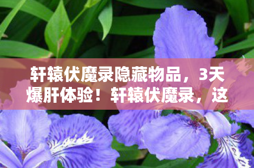 轩辕伏魔录隐藏物品，3天爆肝体验！轩辕伏魔录，这酸爽感让我直呼再来100关！