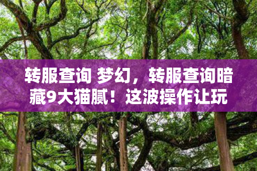 转服查询 梦幻，转服查询暗藏9大猫腻！这波操作让玩家集体上头又破防