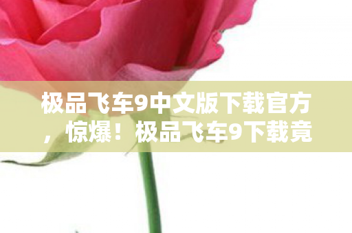 极品飞车9中文版下载官方，惊爆！极品飞车9下载竟要999元？离职老兵掀桌揭内幕！