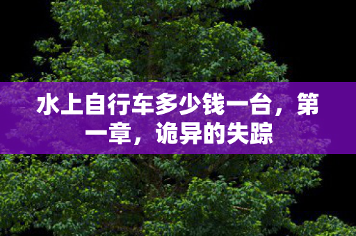 水上自行车多少钱一台，第一章，诡异的失踪