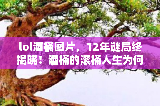 lol酒桶图片，12年谜局终揭晓！酒桶的滚桶人生为何让百万玩家泪目？