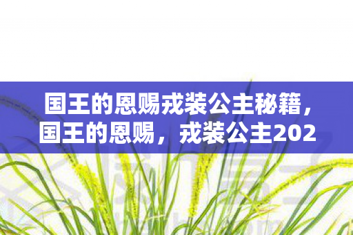 国王的恩赐戎装公主秘籍，国王的恩赐，戎装公主2027版蹊跷大改！老玩家泪目，这还是我的青春吗？