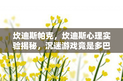 坎迪斯帕克，坎迪斯心理实验揭秘，沉迷游戏竟是多巴胺的细思极恐行为陷阱