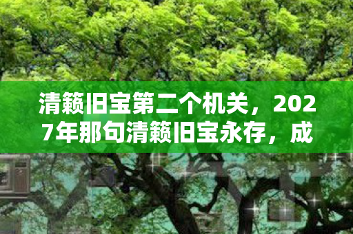 清籁旧宝第二个机关，2027年那句清籁旧宝永存，成了我们再也回不去的伏笔，鼻子一酸