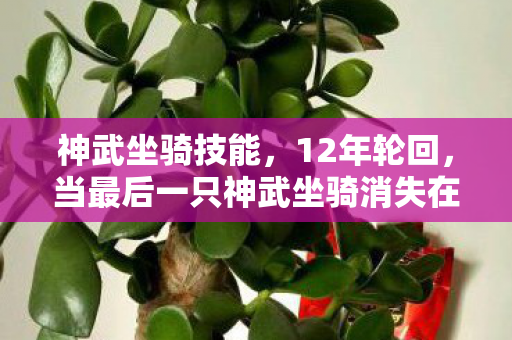 神武坐骑技能，12年轮回，当最后一只神武坐骑消失在2038年服务器，全网泪目寻踪