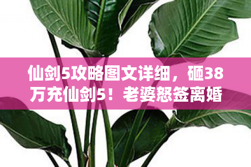仙剑5攻略图文详细,砸38万充仙剑5!老婆怒签离婚协议,这隐情让我吓一跳! 仙剑5攻略图文详细,砸38万充仙剑5!老婆怒签离婚协议,这隐情让我吓一跳!