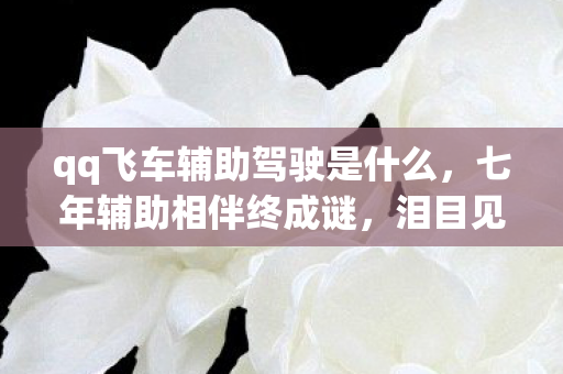 qq飞车辅助驾驶是什么，七年辅助相伴终成谜，泪目见证QQ飞车谢幕时