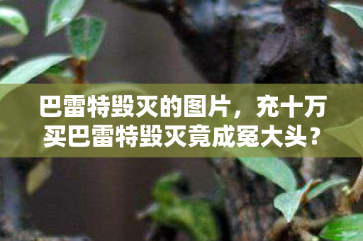巴雷特毁灭的图片，充十万买巴雷特毁灭竟成冤大头？策划暗改数据吓掉下巴！