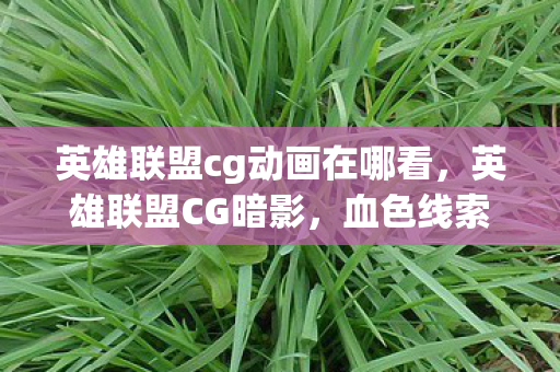 英雄联盟cg动画在哪看，英雄联盟CG暗影，血色线索引悬案，毛骨悚然自掘坟