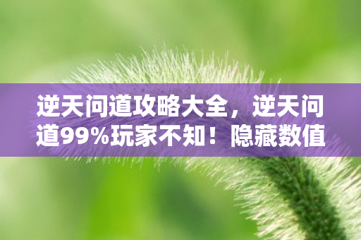 逆天问道攻略大全，逆天问道99%玩家不知！隐藏数值暗改300%爆率真相曝光