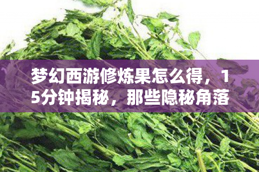 梦幻西游修炼果怎么得,15分钟揭秘,那些隐秘角落里,我曾为修炼果哽咽的夜晚 梦幻西游修炼果怎么得,15分钟揭秘,那些隐秘角落里,我曾为修炼果哽咽的夜晚