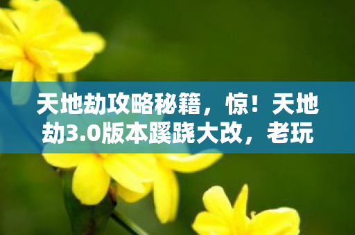 天地劫攻略秘籍，惊！天地劫3.0版本蹊跷大改，老玩家直呼这还是我童年？