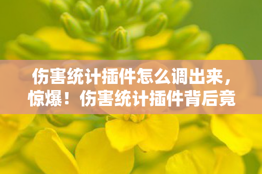 伤害统计插件怎么调出来,惊爆!伤害统计插件背后竟藏着3个颠覆认知的致命陷阱? 伤害统计插件怎么调出来,惊爆!伤害统计插件背后竟藏着3个颠覆认知的致命陷阱?