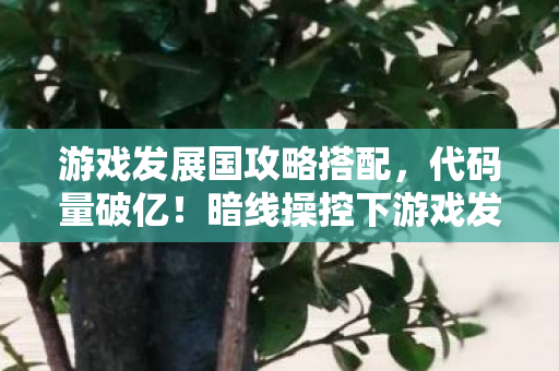 游戏发展国攻略搭配，代码量破亿！暗线操控下游戏发展国竟让玩家头皮发麻造反
