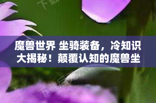 魔兽世界 坐骑装备,冷知识大揭秘!颠覆认知的魔兽坐骑设定,让你目瞪口呆! 魔兽世界 坐骑装备,冷知识大揭秘!颠覆认知的魔兽坐骑设定,让你目瞪口呆!