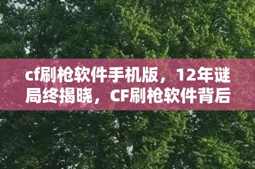 cf刷枪软件手机版，12年谜局终揭晓，CF刷枪软件背后的真相，泪目了！