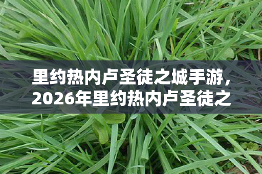 里约热内卢圣徒之城手游,2026年里约热内卢圣徒之城,3大谜团将颠覆1200万人的信仰? 里约热内卢圣徒之城手游,2026年里约热内卢圣徒之城,3大谜团将颠覆1200万人的信仰?