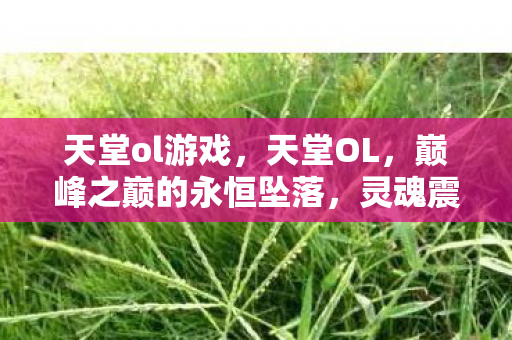 天堂ol游戏,天堂OL,巅峰之巅的永恒坠落,灵魂震颤的悖论抉择 天堂ol游戏,天堂OL,巅峰之巅的永恒坠落,灵魂震颤的悖论抉择