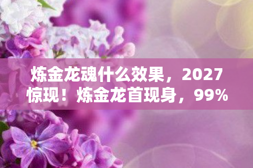 炼金龙魂什么效果,2027惊现!炼金龙首现身,99%人不知的秘密即将引爆! 炼金龙魂什么效果,2027惊现!炼金龙首现身,99%人不知的秘密即将引爆!
