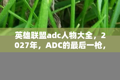 英雄联盟adc人物大全,2027年,ADC的最后一枪,藏着谁说的别走,鼻子一酸泪满眶 英雄联盟adc人物大全,2027年,ADC的最后一枪,藏着谁说的别走,鼻子一酸泪满眶