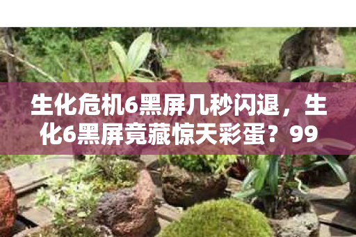 生化危机6黑屏几秒闪退，生化6黑屏竟藏惊天彩蛋？99%玩家错过的隐藏玩法大揭秘！