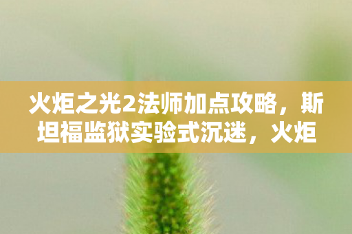 火炬之光2法师加点攻略,斯坦福监狱实验式沉迷,火炬之光2法师加点背后的多巴胺牢笼细思极恐 火炬之光2法师加点攻略,斯坦福监狱实验式沉迷,火炬之光2法师加点背后的多巴胺牢笼细思极恐
