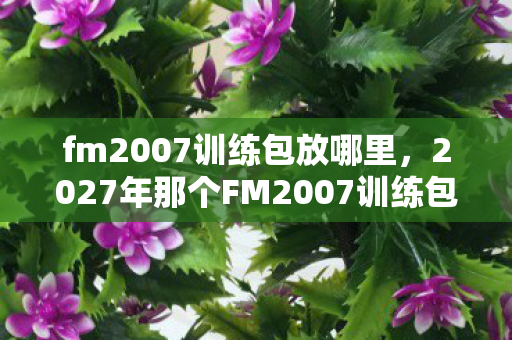 fm2007训练包放哪里，2027年那个FM2007训练包，藏着青春的伏笔，如今想起鼻子一酸