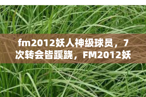 fm2012妖人神级球员，7次转会皆蹊跷，FM2012妖人背后真相让人后背发凉！