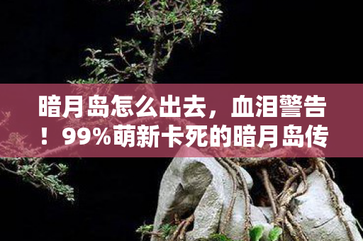 暗月岛怎么出去，血泪警告！99%萌新卡死的暗月岛传送门，第7步藏着致命陷阱！